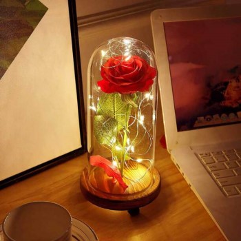 Enchanted Led Rose Light