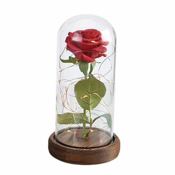 Enchanted Led Rose Light